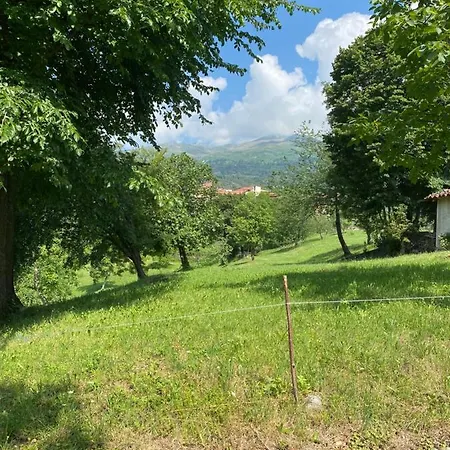 Cosy Pet Friendly In Piedmont Apartment
