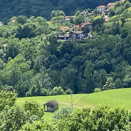 Apartment Cosy Pet Friendly In Piedmont *