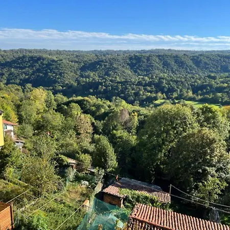 Cosy Pet Friendly In Piedmont * Netro